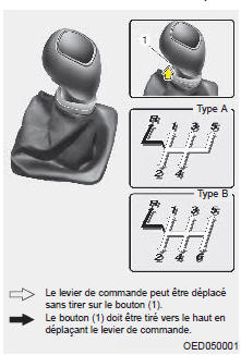 * Le levier de changement de vitesses de votre véhicule peut différer de celui