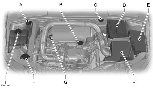 Vue d'ensemble sous le capot - 1.0L EcoBoost