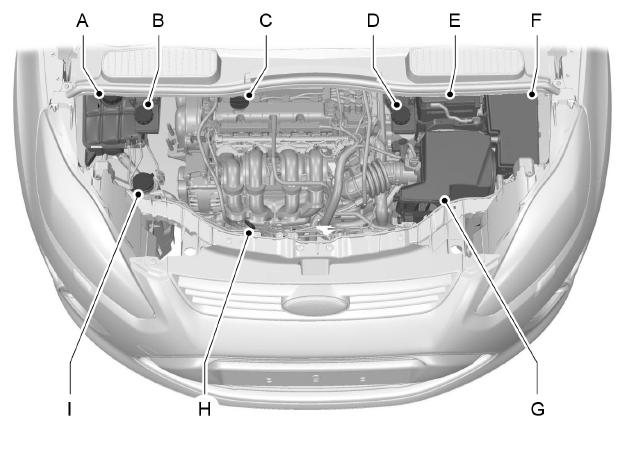 Vue d'ensemble sous le capot - 1.6L Duratec-16V