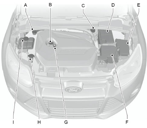 Vue d'ensemble sous le capot - 1.6L EcoBoost