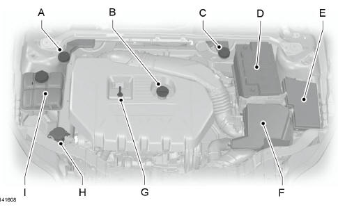 Vue d'ensemble sous le capot - 2.0L EcoBoost