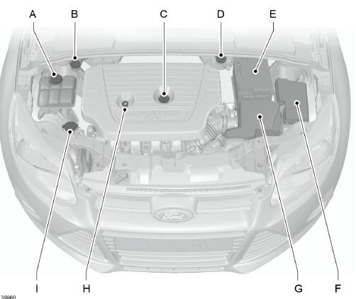 Vue d'ensemble sous le capot - 2.0L Duratec-HE (MI4) 