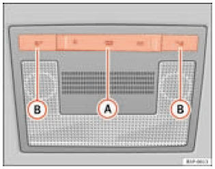 Détail du ciel de pavillon : plafonnier avant